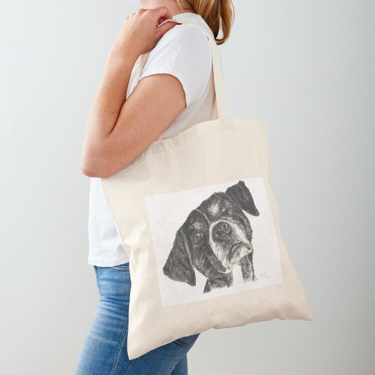Street Fashion Greece - Cane randagio dalla Grecia, chiamato Dinos.