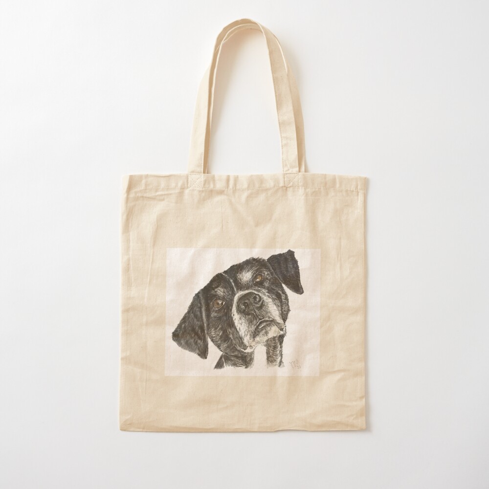 Cane randagio dalla Grecia, ch - Street Fashion Greece recensione e prezzo